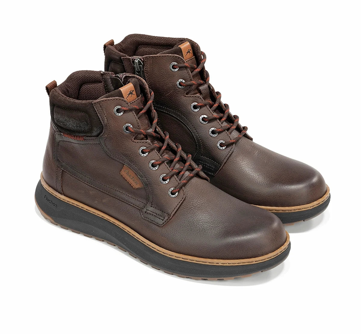 FH F2537